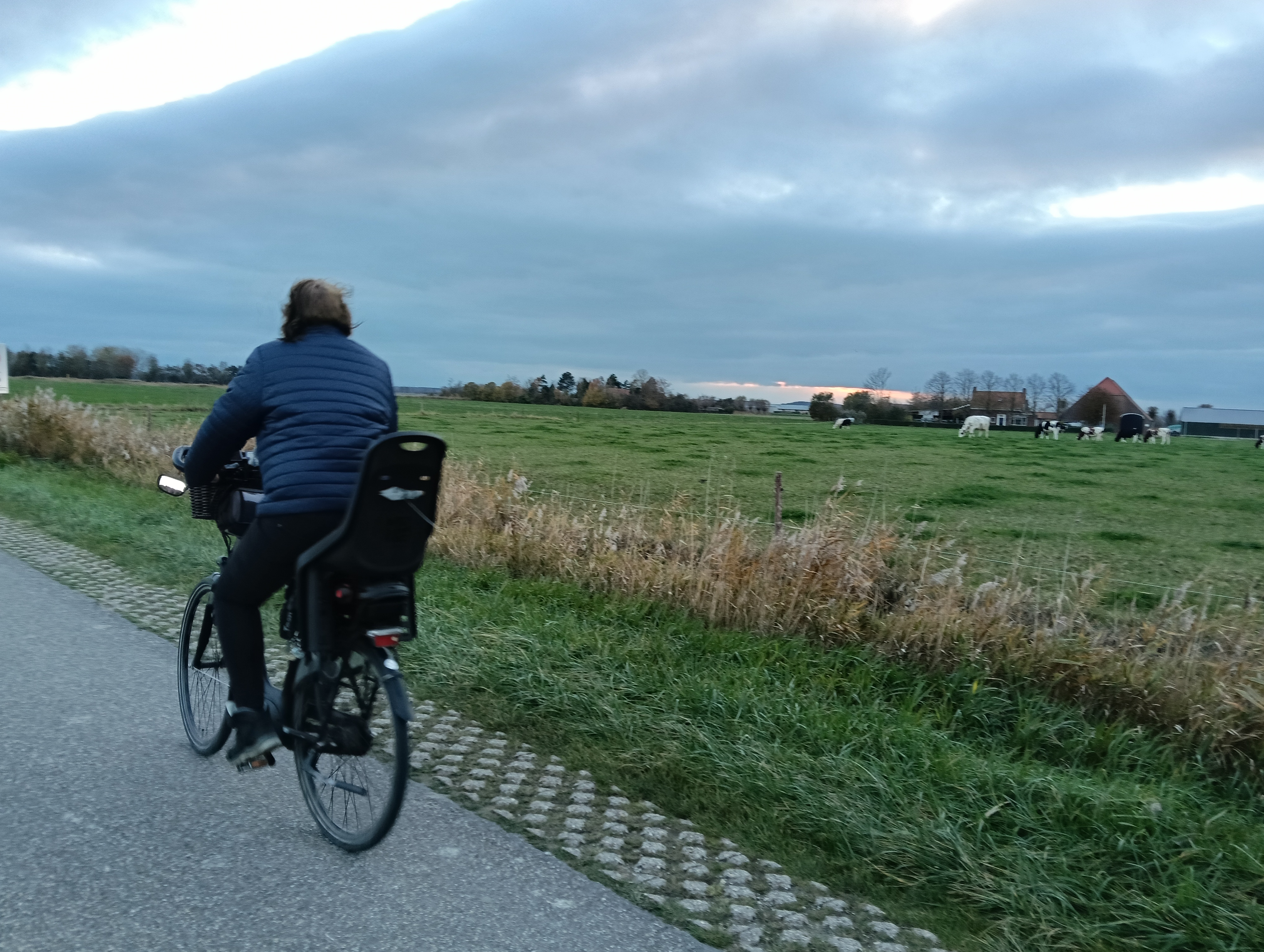 Omgeving